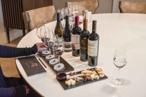 Сантьяго: тур Premium Cellar Collection для чувственного восприятия