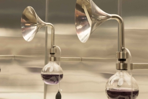 Santiago: Premium guidet tur til Centro Del Vino Concha y Toro