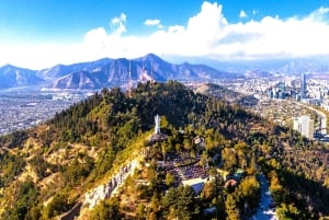 Santiago: Private City Tour with Neruda Museum
