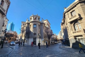 Santiago: Private City Tour with Neruda Museum