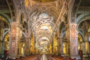 Santiago: Private City Tour with Neruda Museum