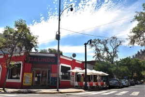 Santiago: Private City Tour with Neruda Museum