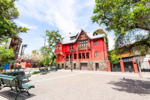 Santiago: Private City Tour with Neruda Museum