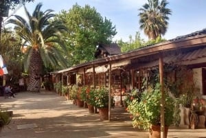 Santiago: Privat bytur med Neruda-museet