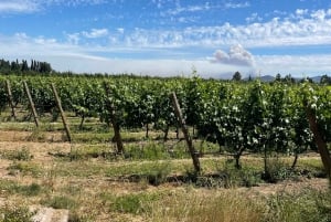 Santiago: Private Flight to Vineyard with Lunch and Wine