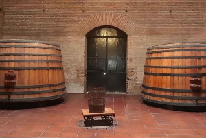 Santiago: Private Full-Day City Tour with Wine