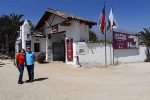 Santiago: Private Full-Day City Tour with Wine