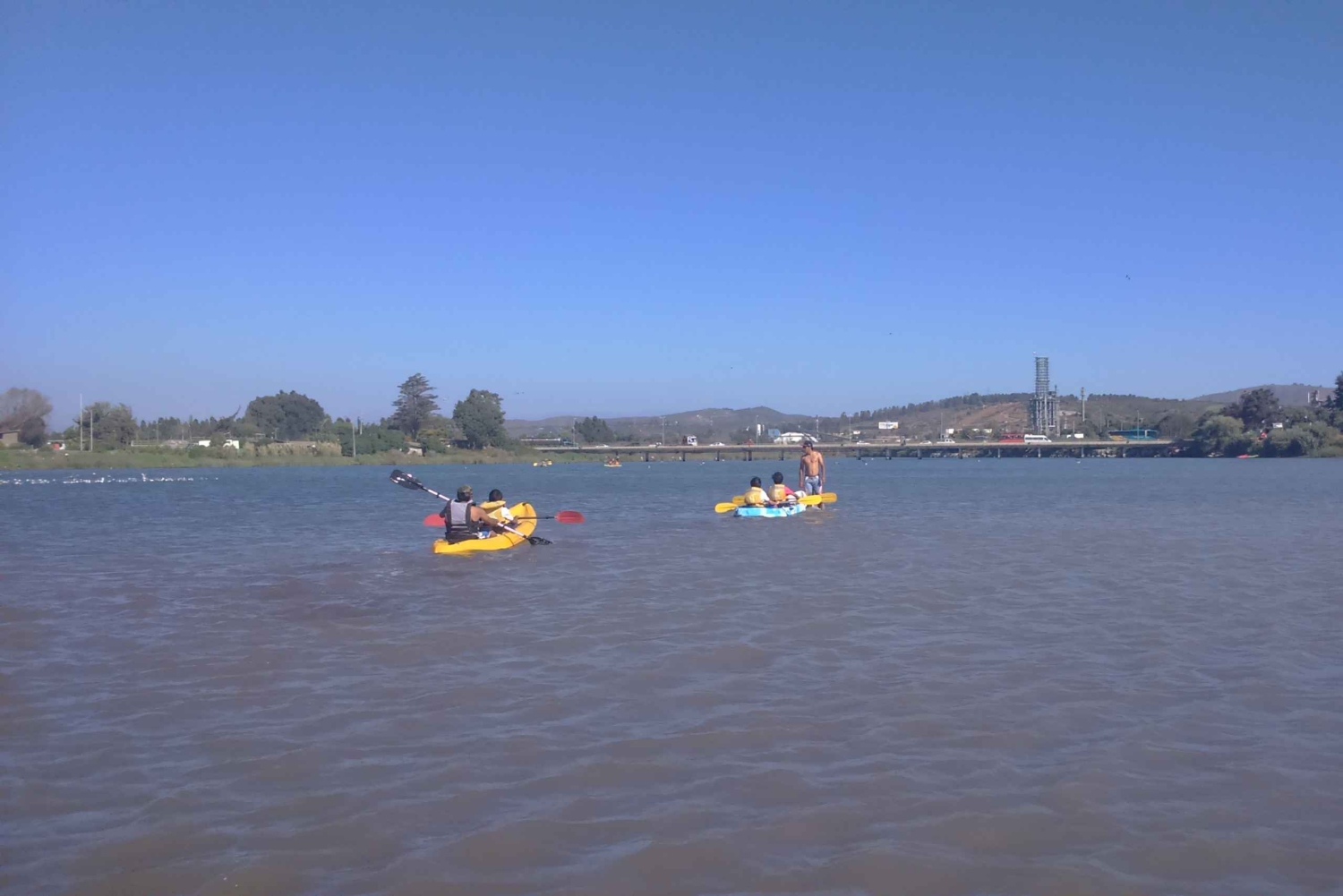 Santiago: Private Full-Day Valparaiso and Viña del Mar Tour