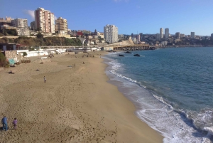 Santiago: Private Full-Day Valparaiso and Viña del Mar Tour