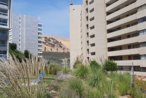 Santiago: Private Full-Day Valparaiso and Viña del Mar Tour