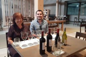 Santiago: Private Full-Day Valparaiso and Viña del Mar Tour