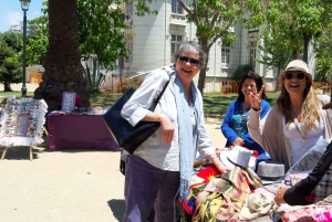 Santiago: Private Full-Day Valparaiso and Viña del Mar Tour