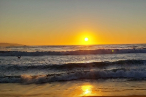 Santiago: Private Full-Day Valparaiso and Viña del Mar Tour