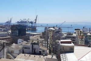 Santiago: Private Full-Day Valparaiso and Viña del Mar Tour