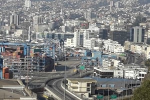 Santiago: Private Full-Day Valparaiso and Viña del Mar Tour