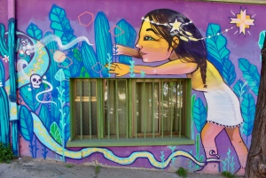 Santiago: Private Full-Day Valparaiso and Viña del Mar Tour