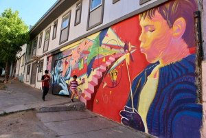 Santiago: Private Full-Day Valparaiso and Viña del Mar Tour