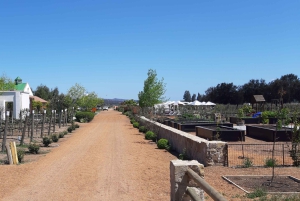 Santiago: Private Full-Day Valparaiso and Viña del Mar Tour