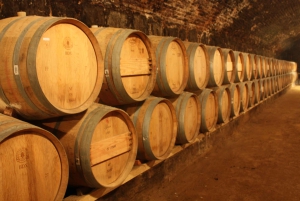 Santiago: Private Full-Day Valparaiso and Viña del Mar Tour