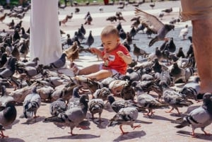 Santiago: Private Photographer for Tours and Activities