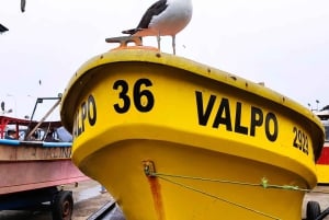 Santiago: Private Transfer To San Antonio via Valparaiso