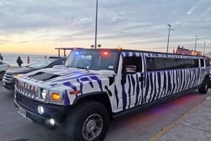 Pub crawl Santiago med limousin