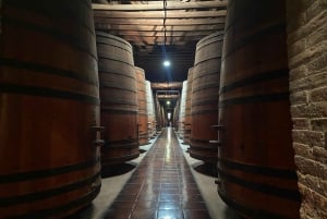 Los Dominicos, Lapislazuli, Cousiño Macul / Transporte privado