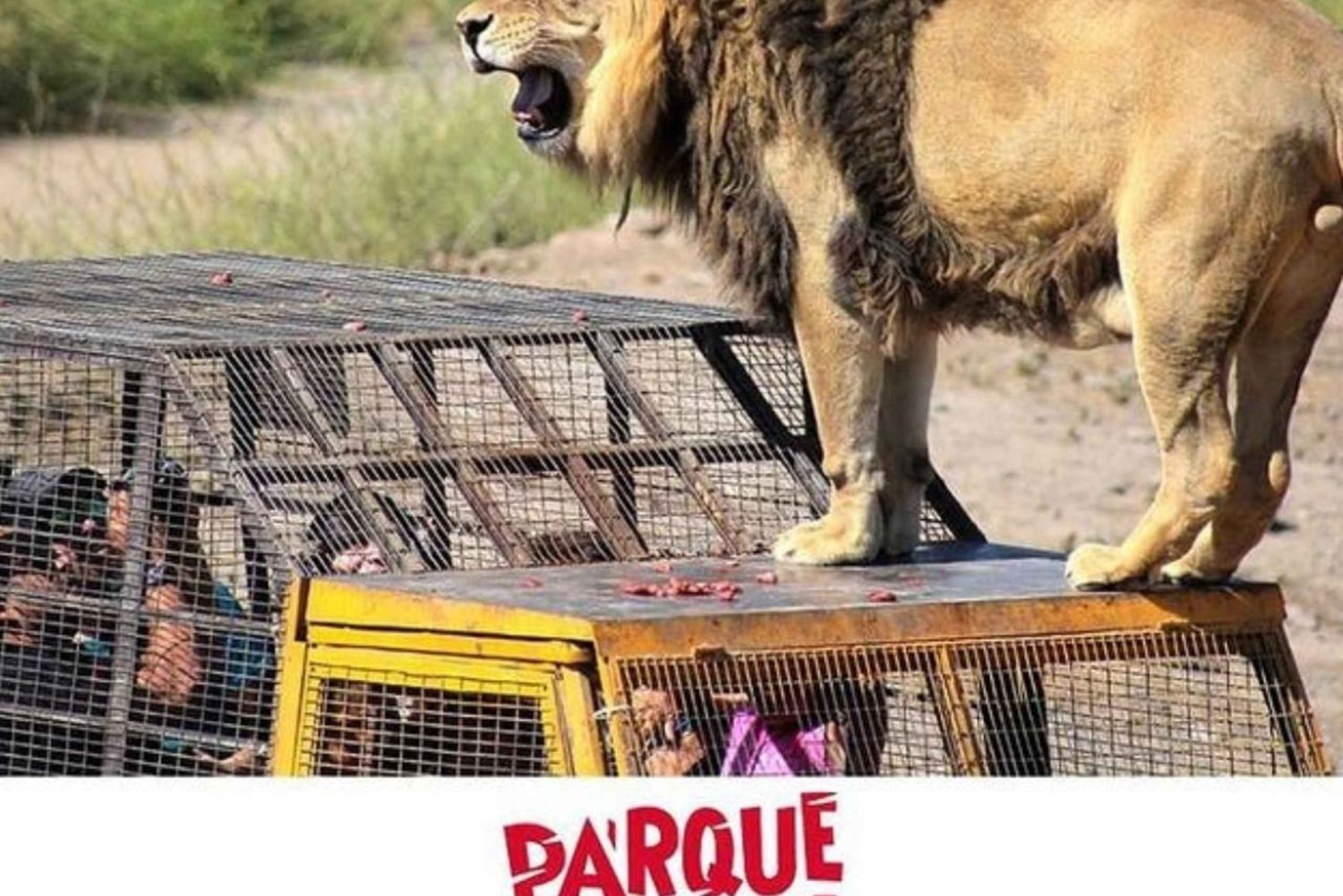 Santiago, Parque Safari