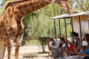 Santiago, Safari Park