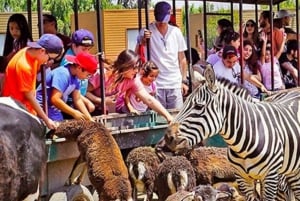 Santiago, Safari Park