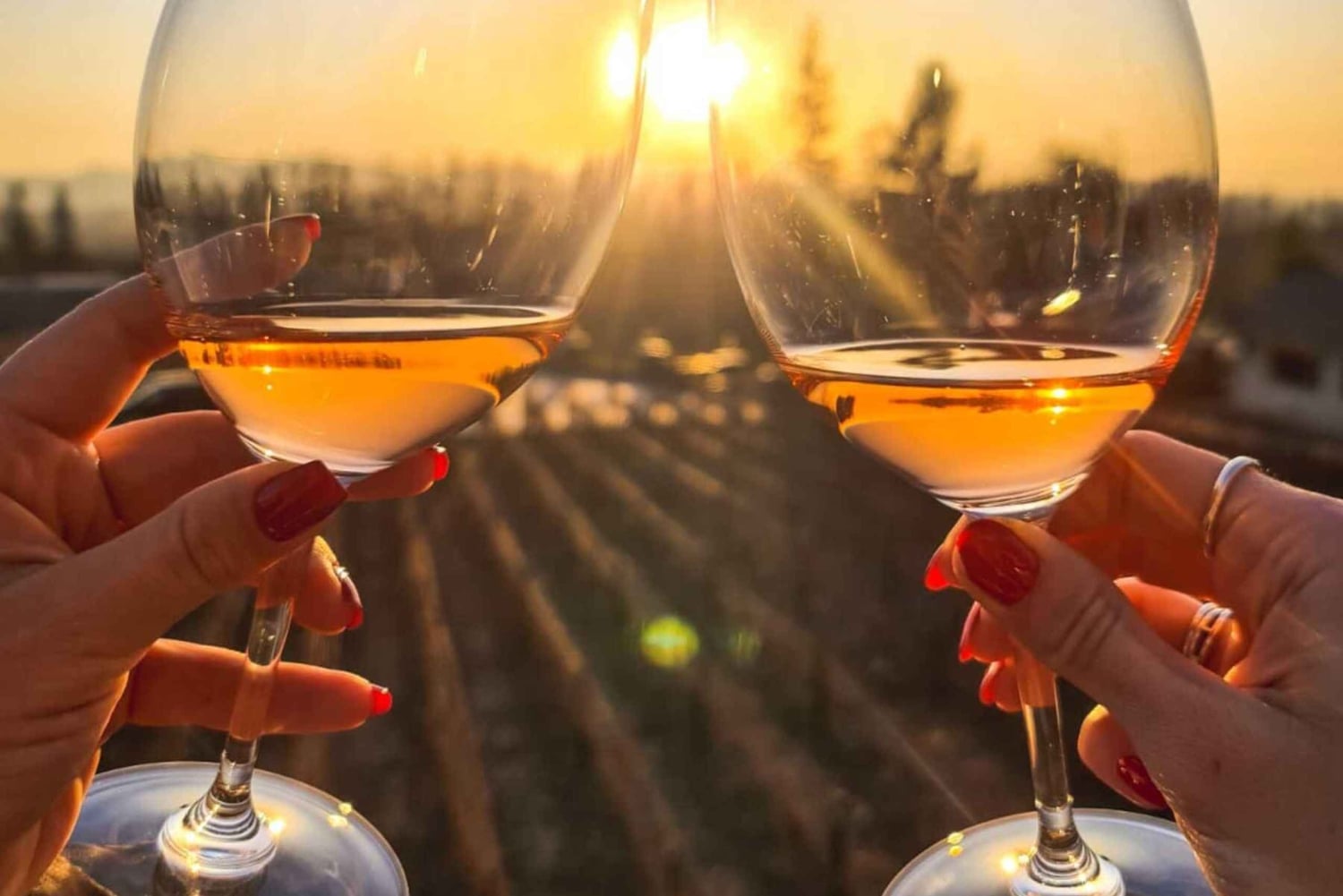 Santiago: Auringonlasku Vinicola Alyan perheessä