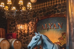 Santiago: Sonnenuntergang in der Vinicola Alyan Familie