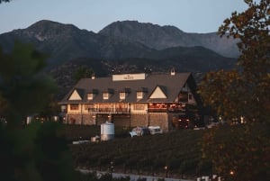 Santiago: Sonnenuntergang in der Vinicola Alyan Familie