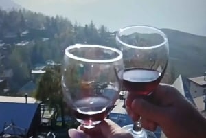 Santiago: Zonsondergang in de Andes met picknick