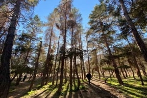 Santiago: Atardecer en la Cordillera Valle Nevado + Valle del Ovni & Picnic
