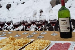 Santiago: Atardecer en la Cordillera Valle Nevado + Valle del Ovni & Picnic