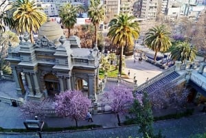 Santiago: Główne atrakcje miasta i opcjonalnie Concha y Toro