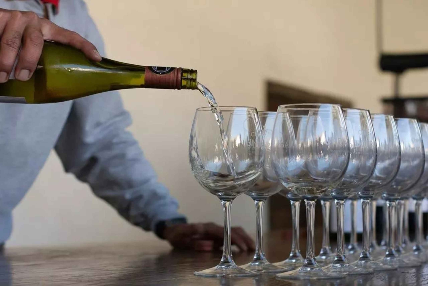 Santiago: Tour and Tasting at Viña Undurraga