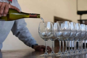 Santiago: Tour and Tasting at Viña Undurraga