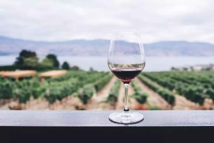 Santiago: Tour and Tasting at Viña Undurraga