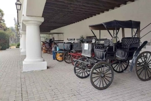 Santiago: Tour and Tasting at Viña Undurraga