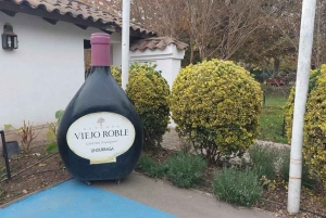 Santiago: Tour and Tasting at Viña Undurraga