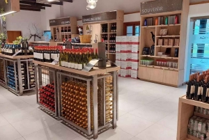 Santiago: Tour and Tasting at Viña Undurraga