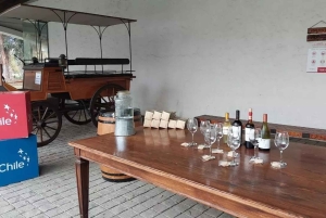 Santiago: Tour and Tasting at Viña Undurraga