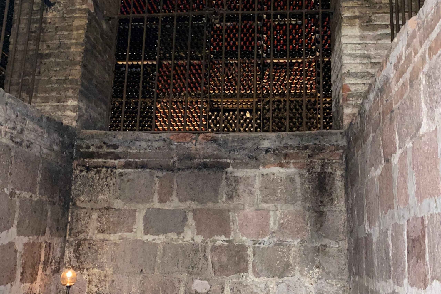 Сантьяго: экскурсия по винодельне Cousiño Macul