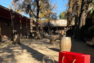 Сантьяго: экскурсия по винодельне Cousiño Macul