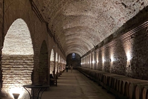 Сантьяго: экскурсия по винодельне Cousiño Macul