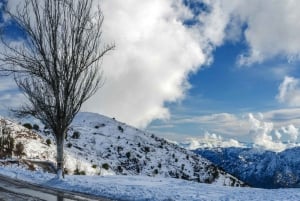 Santiago : Visite du parc de Farellones - Chili