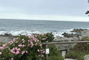 Santiago: Tour to Isla Negra, Algarrobo and Undurraga Wines