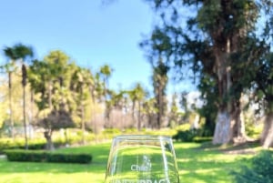 Santiago: Tour zur Isla Negra, Algarrobo und den Undurraga-Weinen